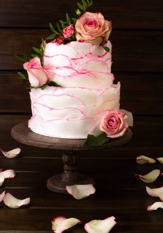 «ТОРТ РЮШИ 2»