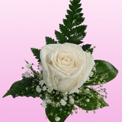 Бутоньерка Г5112 - Салон цветов Галерея букетов