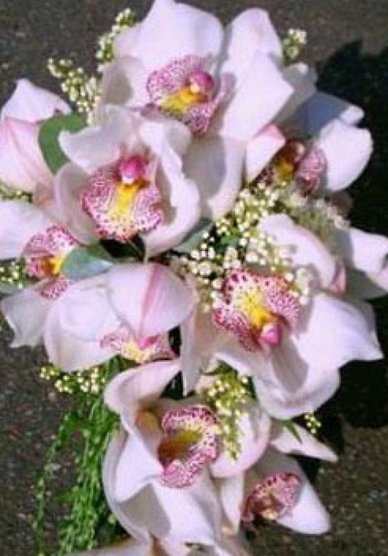 Букет З5138 - Салон цветов Зелёный Мир