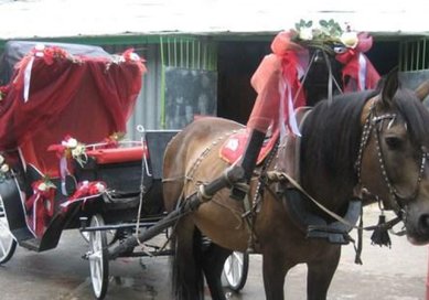 Цветочная композиция К5215 - Салон цветов Квадрат