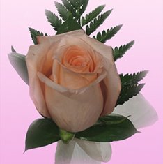 Бутоньерка Г5107