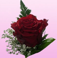 Бутоньерка Г5108