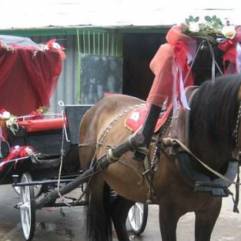 Салон цветов Квадрат