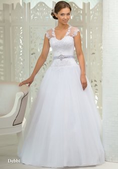 Арт. Дебби-V40881